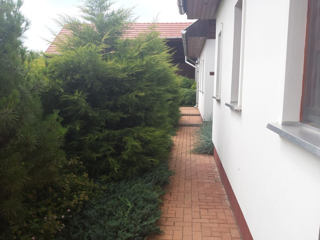 Nadas Panzio Tiszafüred Zewnętrze zdjęcie
